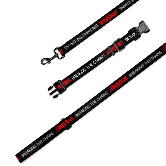 Dokken Dog Leash and Collar Set