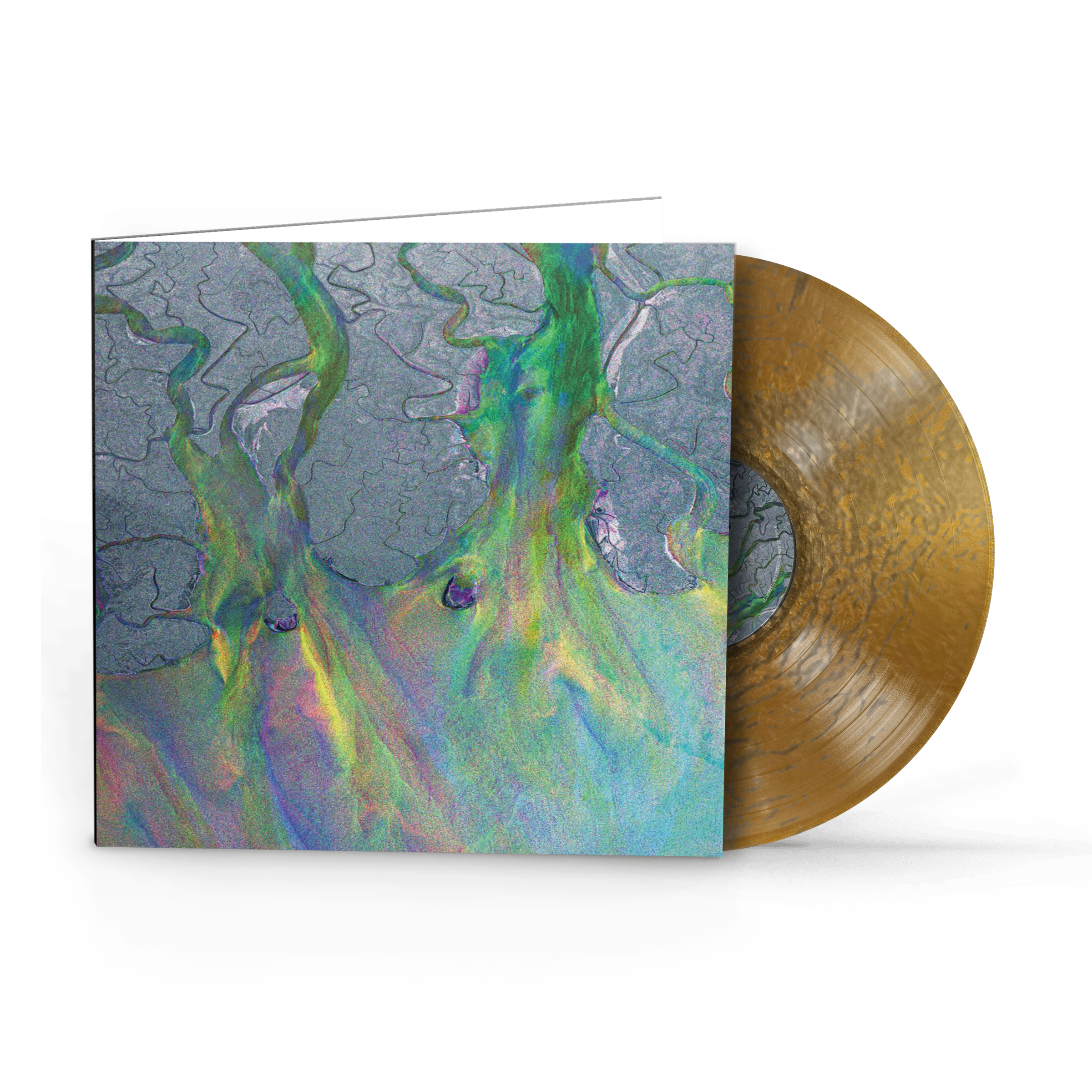 Collections Rhino collections-rhino