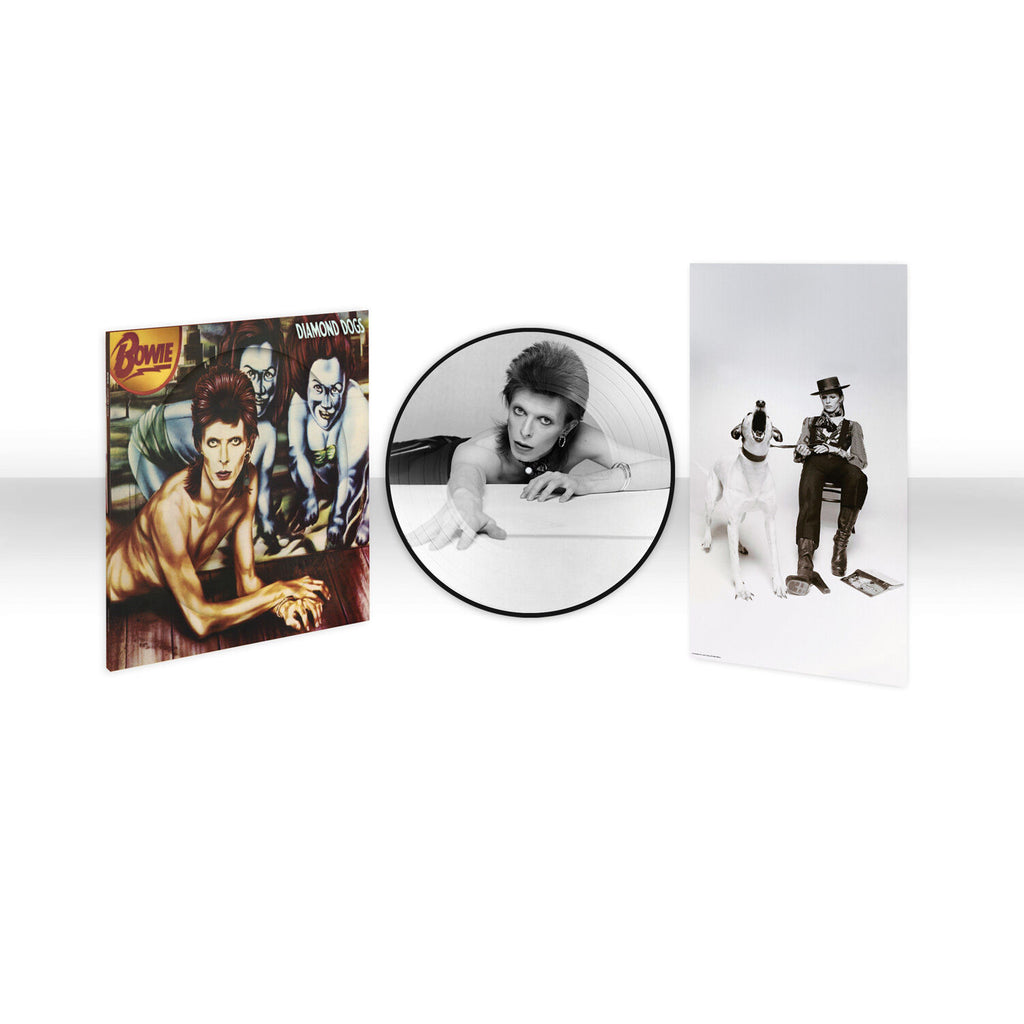 Diamond Dogs 50th Anniversary (1LP Picture Disc)