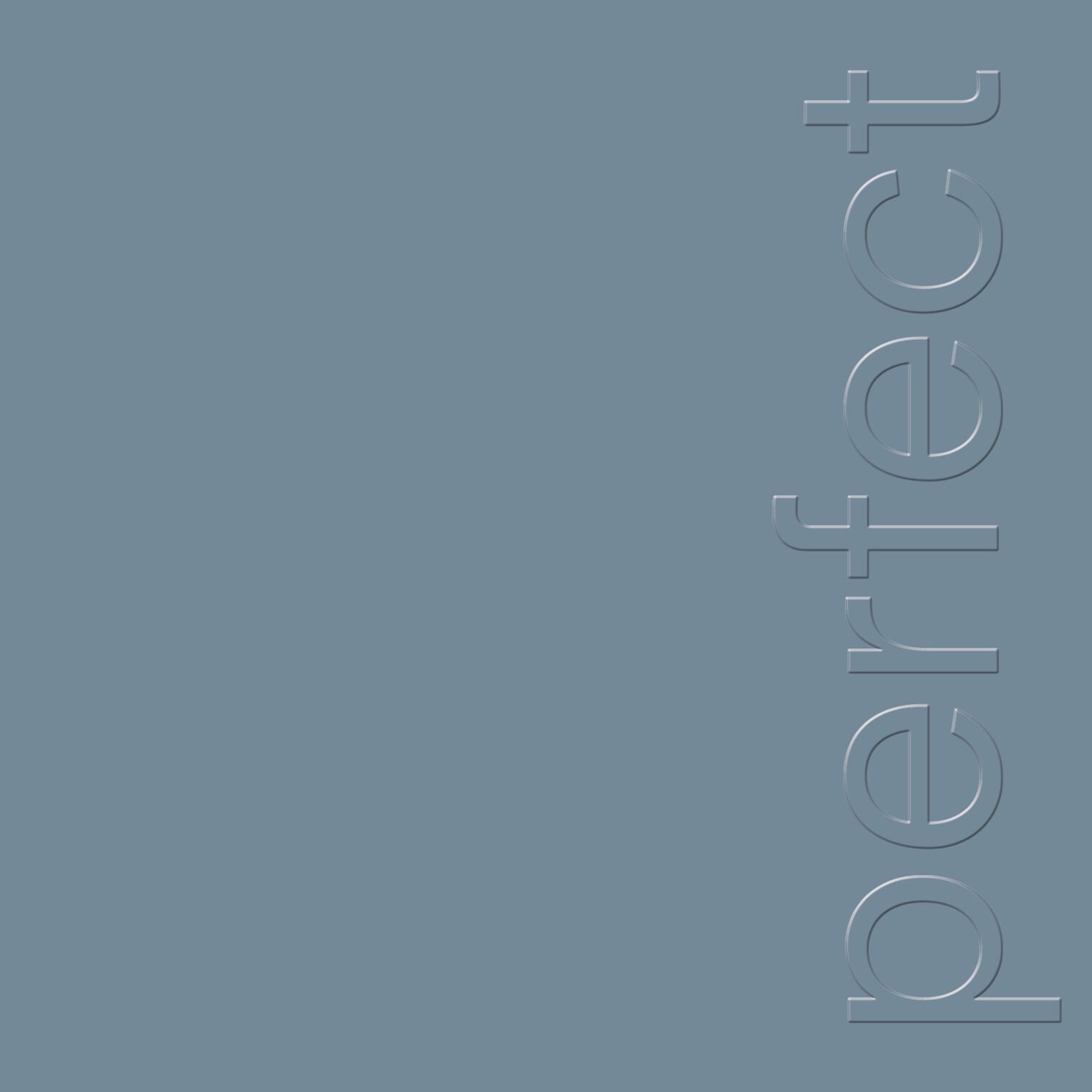 The Perfect Kiss (Black 12" Single)