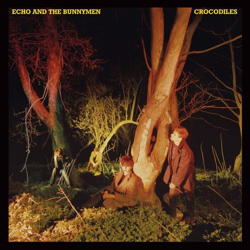 Echo & The Bunnymen | Crocodiles (1LP Black) – Rhino