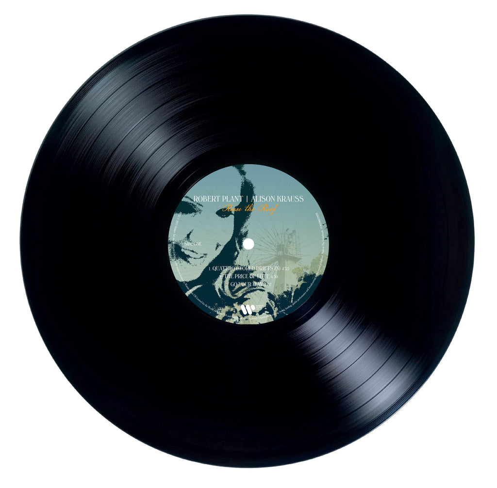 Raise The Roof (2LP Black)