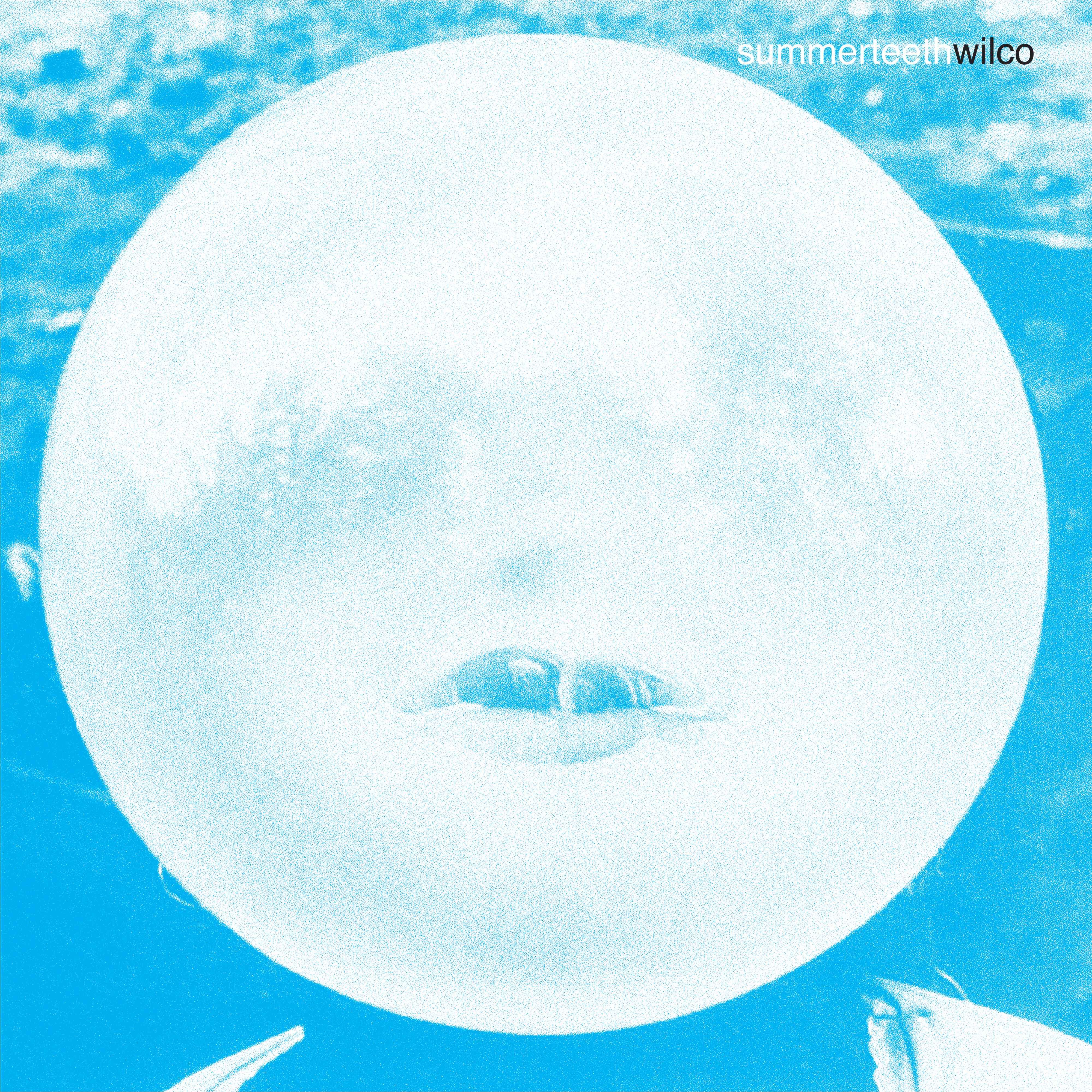summerteeth (Deluxe Edition) 5LP – Rhino