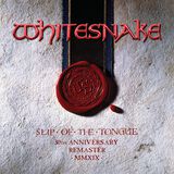 Slip Of The Tongue Deluxe 2CD