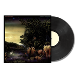 Tango in the Night LP