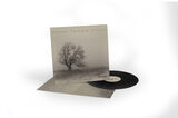 Perdida (140g Vinyl)