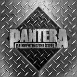 Reinventing the Steel (20th Anniversary Edition) 2LP Silver Vinyl